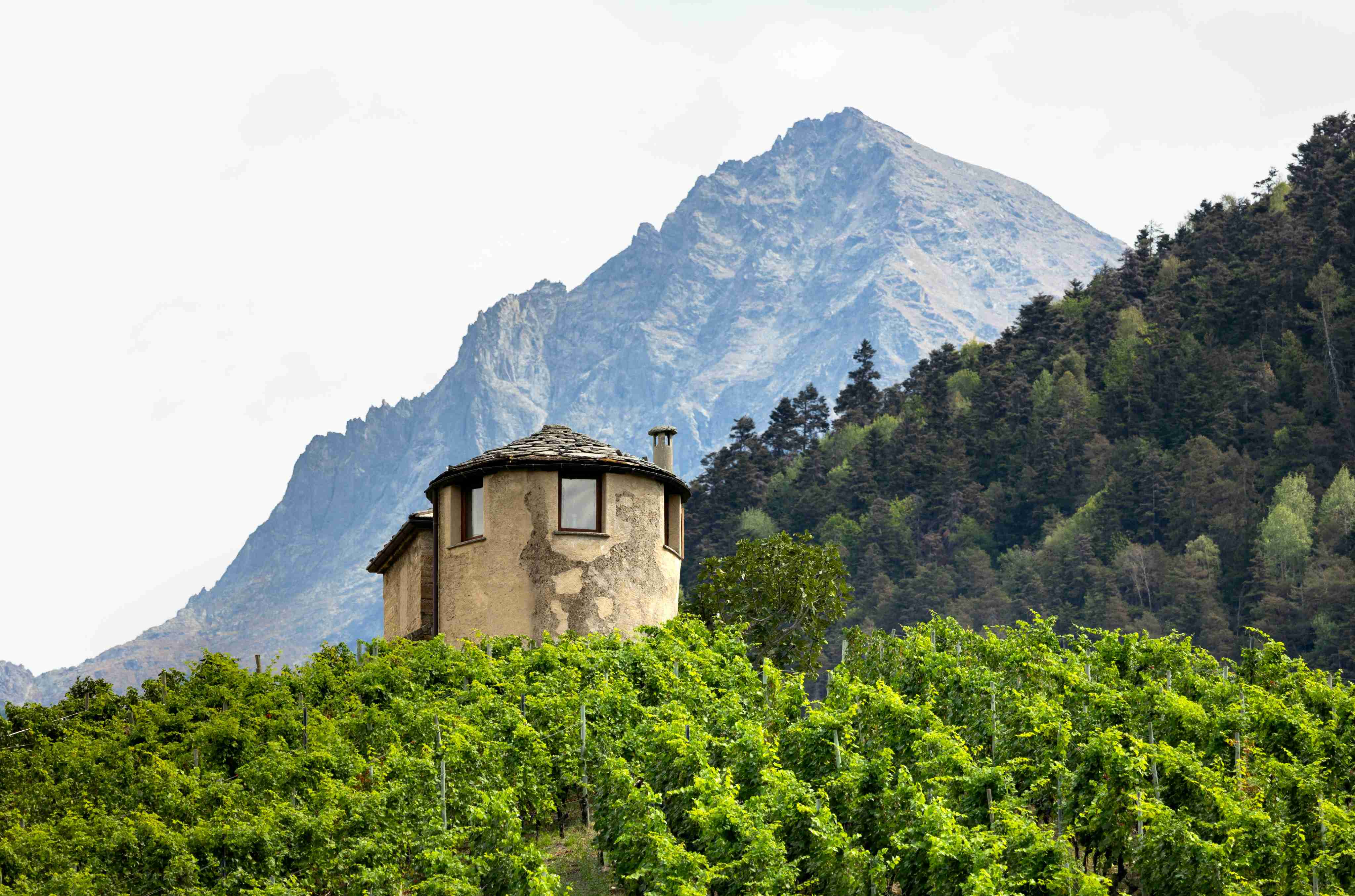 Antica torre in pietra in mezzo a vigneti, con montagne sullo sfondo
